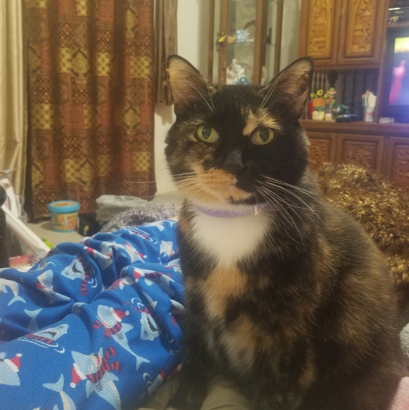 READ Before You Offer Or Buy - Picture 13 of 15